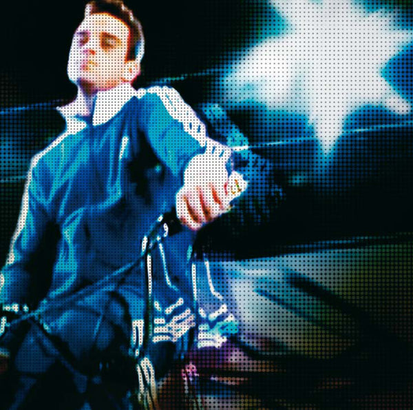 Rudebox image