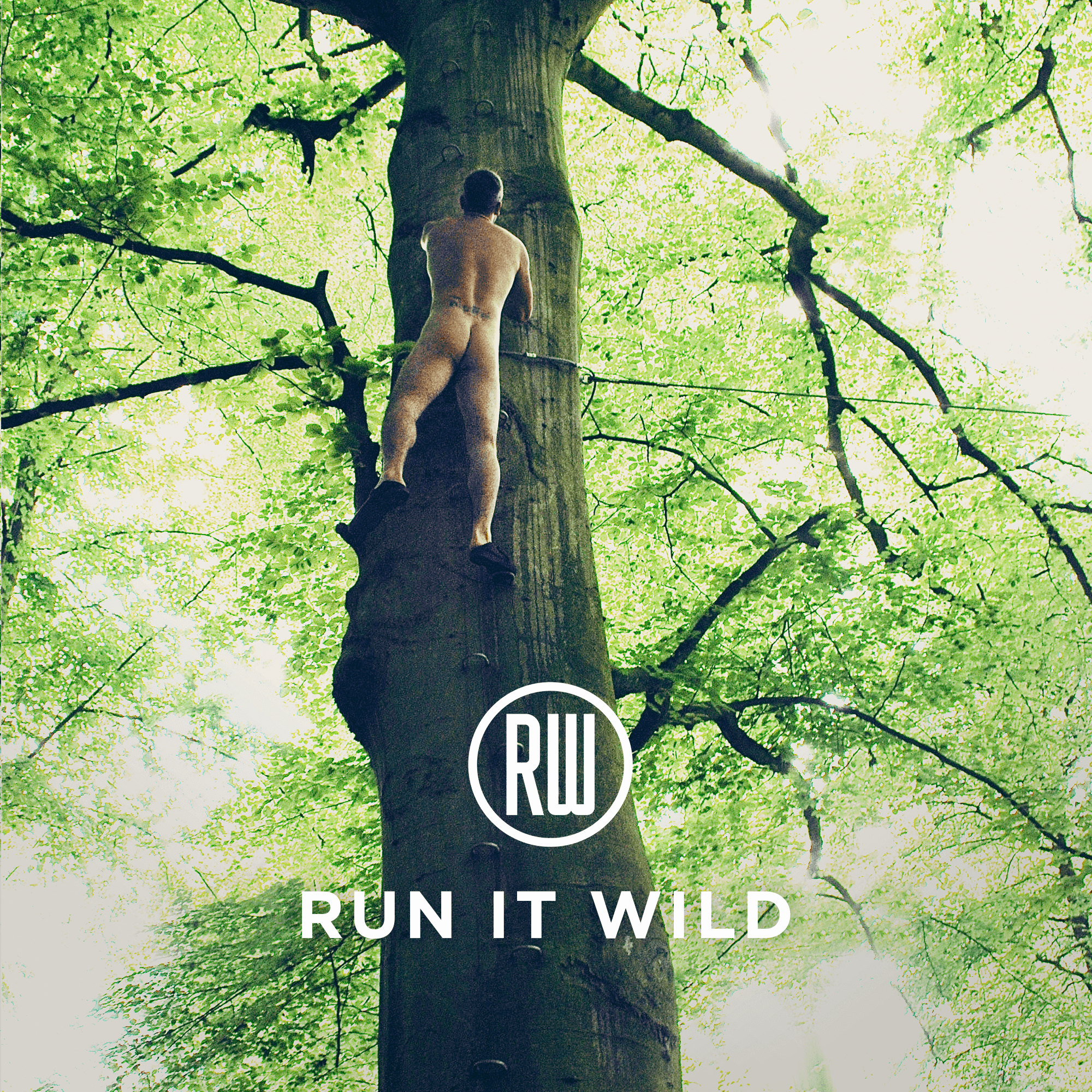 Run It Wild: Listen now!