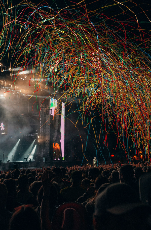 Vieilles Charrues image